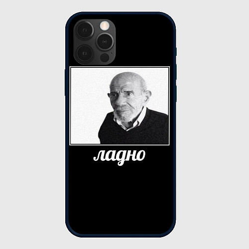 Чехол iPhone 12 Pro Max Ладно / 3D-Черный – фото 1