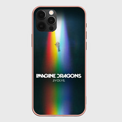 Чехол iPhone 12 Pro Max Imagine Dragons: Evolve