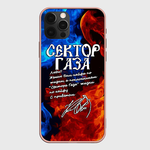 Чехол iPhone 12 Pro Max СЕКТОР ГАЗА КАЙФА ПО ЖИЗНИ / 3D-Светло-розовый – фото 1