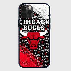 Чехол iPhone 12 Pro Max CHICAGO BULLS 6