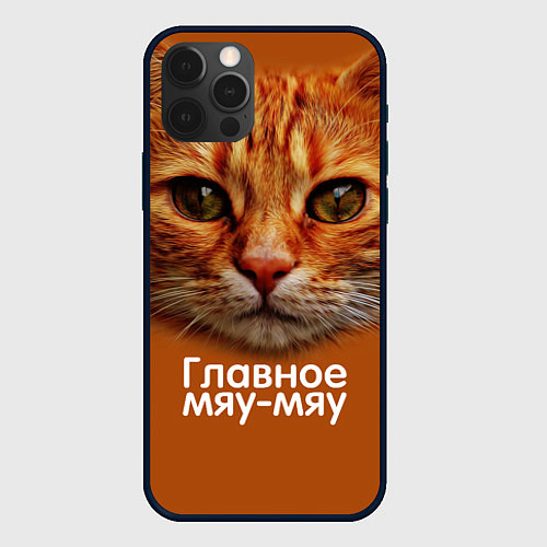 Чехол iPhone 12 Pro Max ГЛАВНОЕ МЯУ-МЯУ / 3D-Черный – фото 1