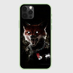 Чехол для iPhone 12 Pro Max Prodigy Fox, цвет: 3D-салатовый