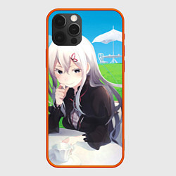 Чехол iPhone 12 Pro Max Echidna