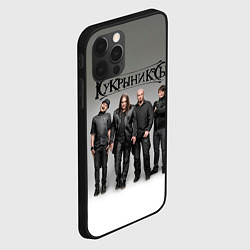 Чехол для iPhone 12 Pro Max Кукрыниксы рок группа, цвет: 3D-черный — фото 2