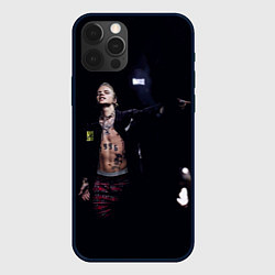 Чехол iPhone 12 Pro Max Фараон на концерте