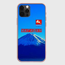 Чехол iPhone 12 Pro Max Магадан герб