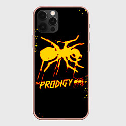 Чехол iPhone 12 Pro Max The Prodigy логотип