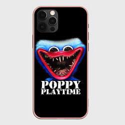 Чехол iPhone 12 Pro Max Poppy Playtime