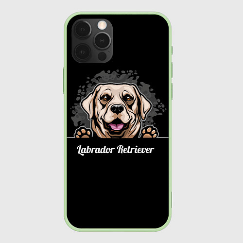 Чехол iPhone 12 Pro Max Лабрадор-Ретривер Labrador Retriever / 3D-Салатовый – фото 1