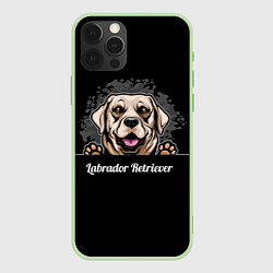 Чехол для iPhone 12 Pro Max Лабрадор-Ретривер Labrador Retriever, цвет: 3D-салатовый