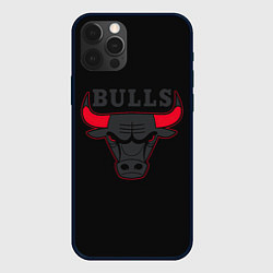 Чехол для iPhone 12 Pro Max CHICAGO BULLS ЧИКАГО БУЛЛС ЯРОСТЬ БЫКА, цвет: 3D-черный