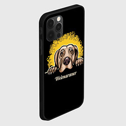 Чехол для iPhone 12 Pro Max Веймаранер Weimaraner, цвет: 3D-черный — фото 2