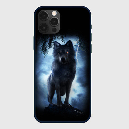 Чехол iPhone 12 Pro Max ВОЛК БРОДЯГА / 3D-Черный – фото 1