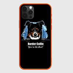 Чехол iPhone 12 Pro Max Бордер-Колли Border-Collie