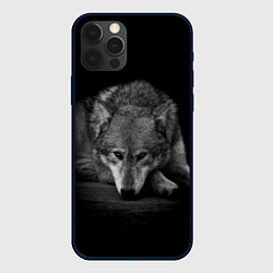 Чехол iPhone 12 Pro Max Волк, на черном фоне