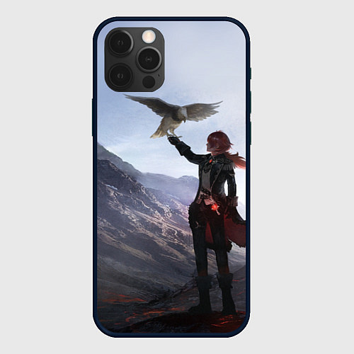Чехол iPhone 12 Pro Max ДИЛЮК С ЯСТРЕБОМ DILUC / 3D-Черный – фото 1