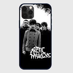 Чехол для iPhone 12 Pro Max Группа Arctic monkeys, цвет: 3D-черный