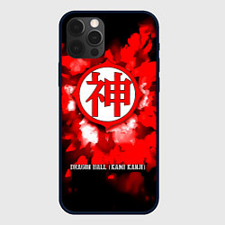 Чехол iPhone 12 Pro Max Dragon Ball - Kami Kanji