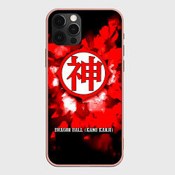 Чехол iPhone 12 Pro Max Dragon Ball - Kami Kanji