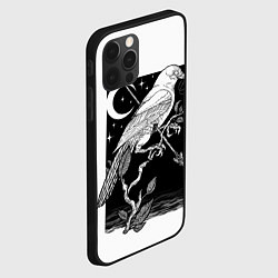 Чехол для iPhone 12 Pro Max Оккультный Ворон, цвет: 3D-черный — фото 2