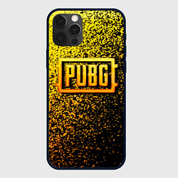 Чехол для iPhone 12 Pro Max PUBG - ПАБГ ОСКОЛКИ, цвет: 3D-черный