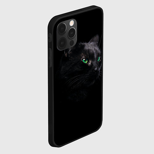 Чехол iPhone 12 Pro Max Черна кошка с изумрудными глазами / 3D-Черный – фото 2