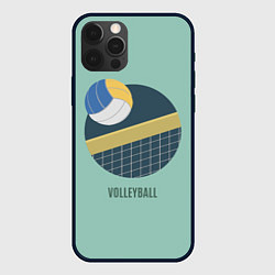 Чехол iPhone 12 Pro Max Volleyball Спорт