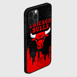 Чехол для iPhone 12 Pro Max Chicago Bulls, Чикаго Буллз Город, цвет: 3D-черный — фото 2