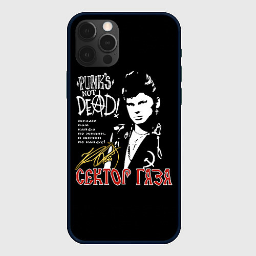 Чехол iPhone 12 Pro Max Сектор Газа Punks Not Dead / 3D-Черный – фото 1