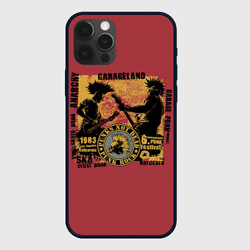 Чехол iPhone 12 Pro Max Punk Rock Панки Живы / 3D-Черный – фото 1