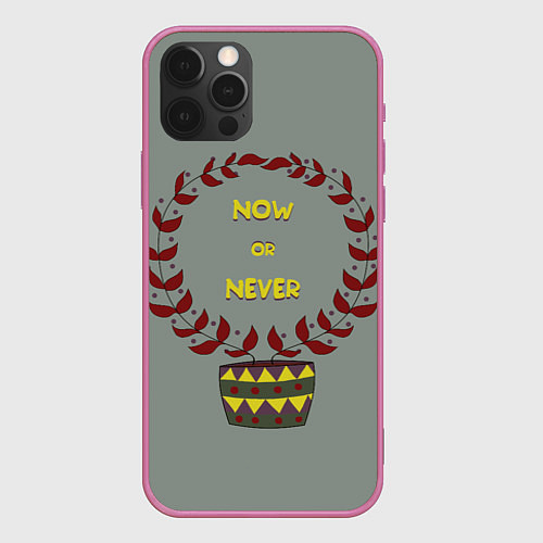 Чехол iPhone 12 Pro Max Цветочный горшок now or never / 3D-Малиновый – фото 1