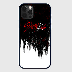 Чехол iPhone 12 Pro Max Stray kids - changbin