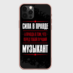 Чехол iPhone 12 Pro Max Музыкант Правда