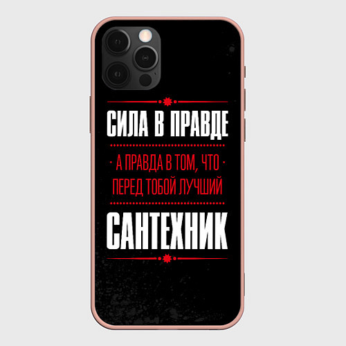 Чехол iPhone 12 Pro Max Надпись: сила в правде, а правда в том, что перед / 3D-Светло-розовый – фото 1