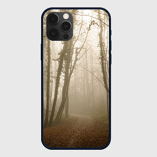 Чехол iPhone 12 Pro Max Туманный лес на восходе / 3D-Черный – фото 1