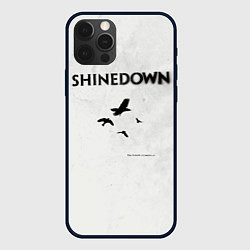 Чехол iPhone 12 Pro Max The Sound of Madness - Shinedown