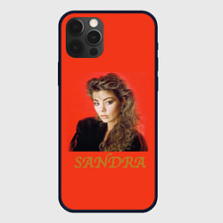 Чехол iPhone 12 Pro Max Звёзды 80-х Sandra