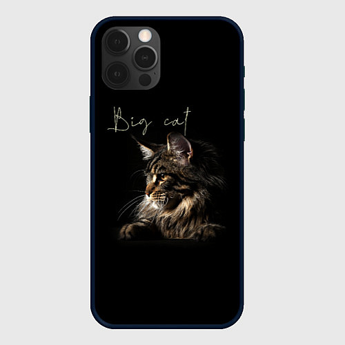 Чехол iPhone 12 Pro Max Big cat Maine Coon / 3D-Черный – фото 1