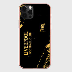 Чехол iPhone 12 Pro Max Liverpool гранж