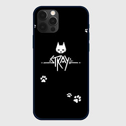 Чехол iPhone 12 Pro Max Stray