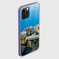 Чехол для iPhone 12 Pro Max Кораллы в тропических водах индийского океана, цвет: 3D-серый — фото 2