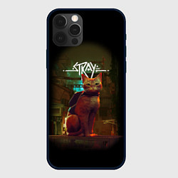 Чехол iPhone 12 Pro Max Stray-Cat
