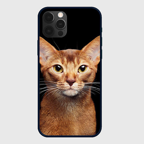 Чехол iPhone 12 Pro Max Молодая абиссинская кошечка / 3D-Черный – фото 1