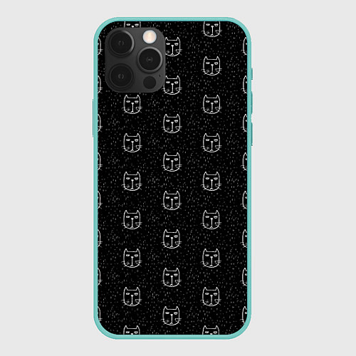 Чехол iPhone 12 Pro Max Хмурые Мордочки Котов Под Дождём / 3D-Мятный – фото 1