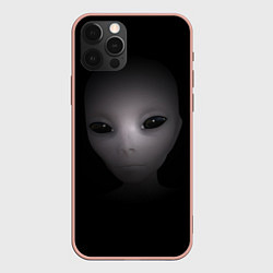 Чехол iPhone 12 Pro Max Взгляд пришельца