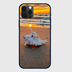 Чехол для iPhone 12 Pro Max Ракушка на песочном берегу тихого океана, цвет: 3D-черный