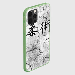 Чехол для iPhone 12 Pro Max Джиу-Джитсу : Потресканная земля, цвет: 3D-салатовый — фото 2