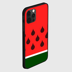Чехол для iPhone 12 Pro Max Сочный летний арбуз, цвет: 3D-черный — фото 2
