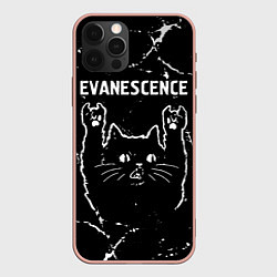 Чехол iPhone 12 Pro Max Группа Evanescence и рок кот