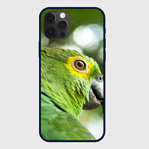 Чехол iPhone 12 Pro Max Попугaй / 3D-Черный – фото 1